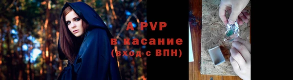 амф Белокуриха