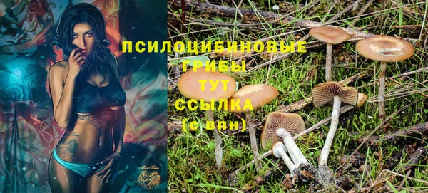 амф Белокуриха
