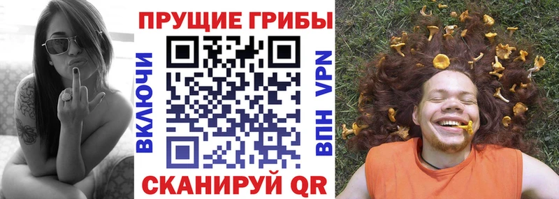 Псилоцибиновые грибы мухоморы  Гулькевичи 