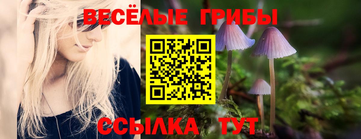 Псилоцибиновые грибы ЛСД Гулькевичи
